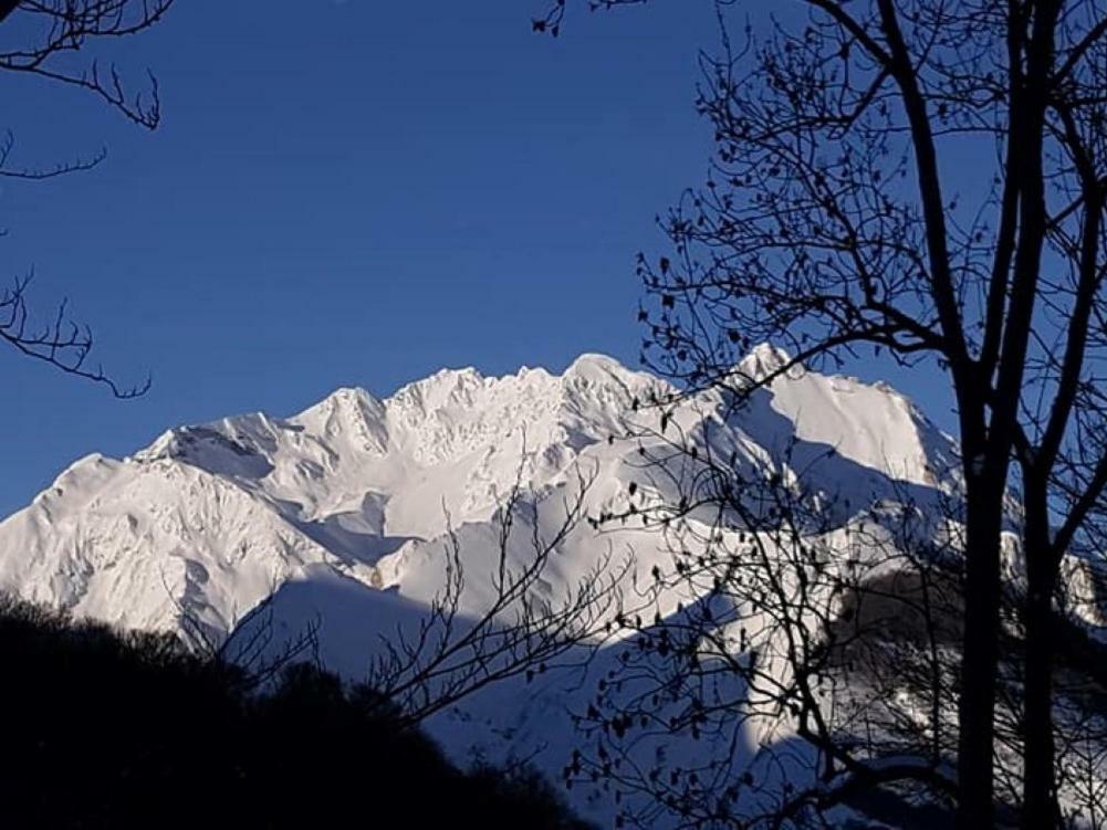 Le Pic De Pan - Auberge & Gites Arrens-Marsous Eksteriør bilde